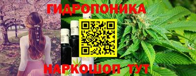 амф Пушкино