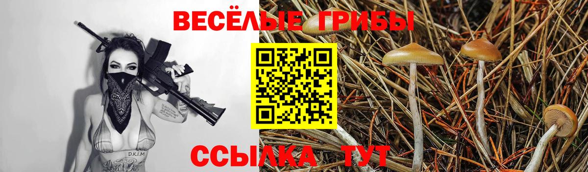 Свободный  Галлюциногенные грибы мухоморы  Псилоцибиновые грибы мухоморы  Вход с VPN 